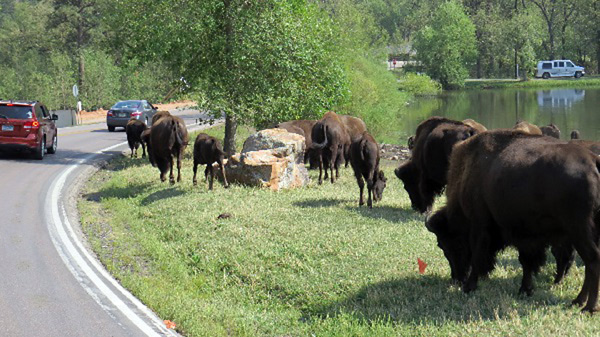 rencontre du 3e type sons